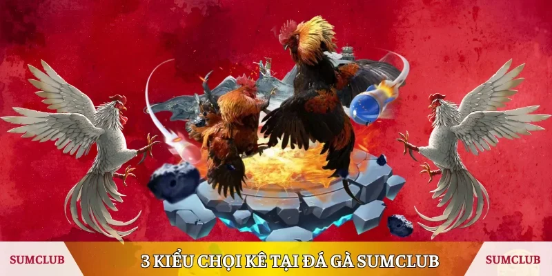 3 kiểu chọi kê tại đá gà Sumclub