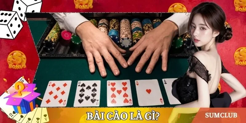 Bài cào là gì
