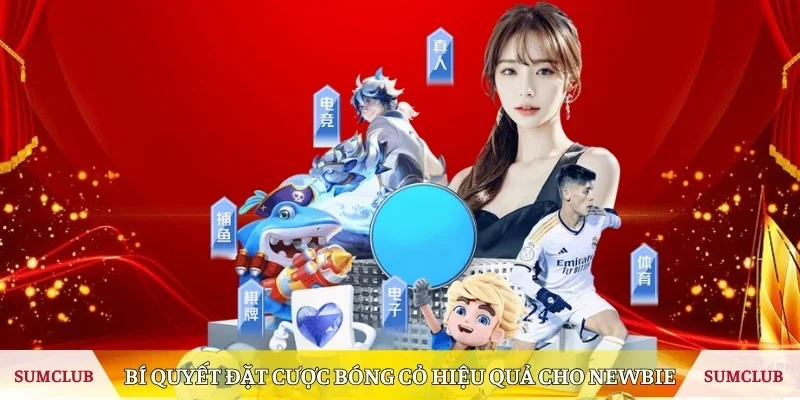 Bí quyết đặt cược bóng cỏ hiệu quả cho newbie