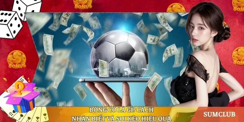 Bóng cỏ là gì?