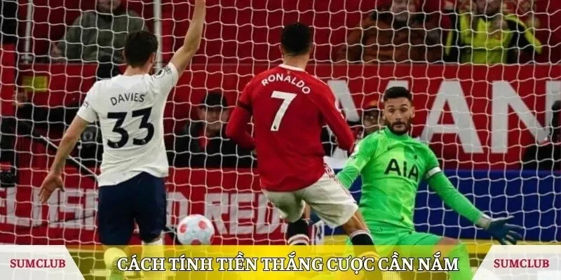Cách tính tiền thắng cược cần nắm 