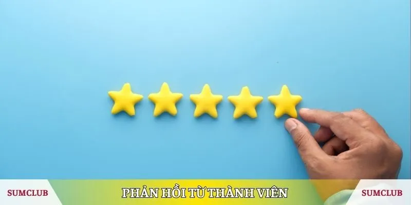 Phản hồi từ thành viên