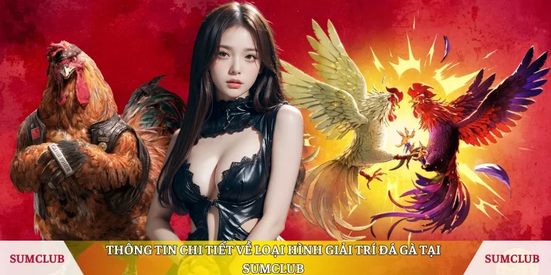 Thông tin chi tiết về loại hình giải trí đá gà tại Sumclub 
